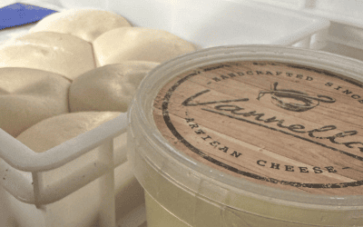 Say Cheese: How to Choose the Right Mozzarella for Your Pizza Menu