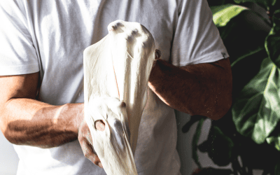 The Humidity Factor: How Seasonal Changes Affect Your Pizza Dough